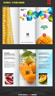 平面设计 从创意素材到精品作品的完整指南